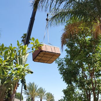 Spa being crane-lifted over palm trees